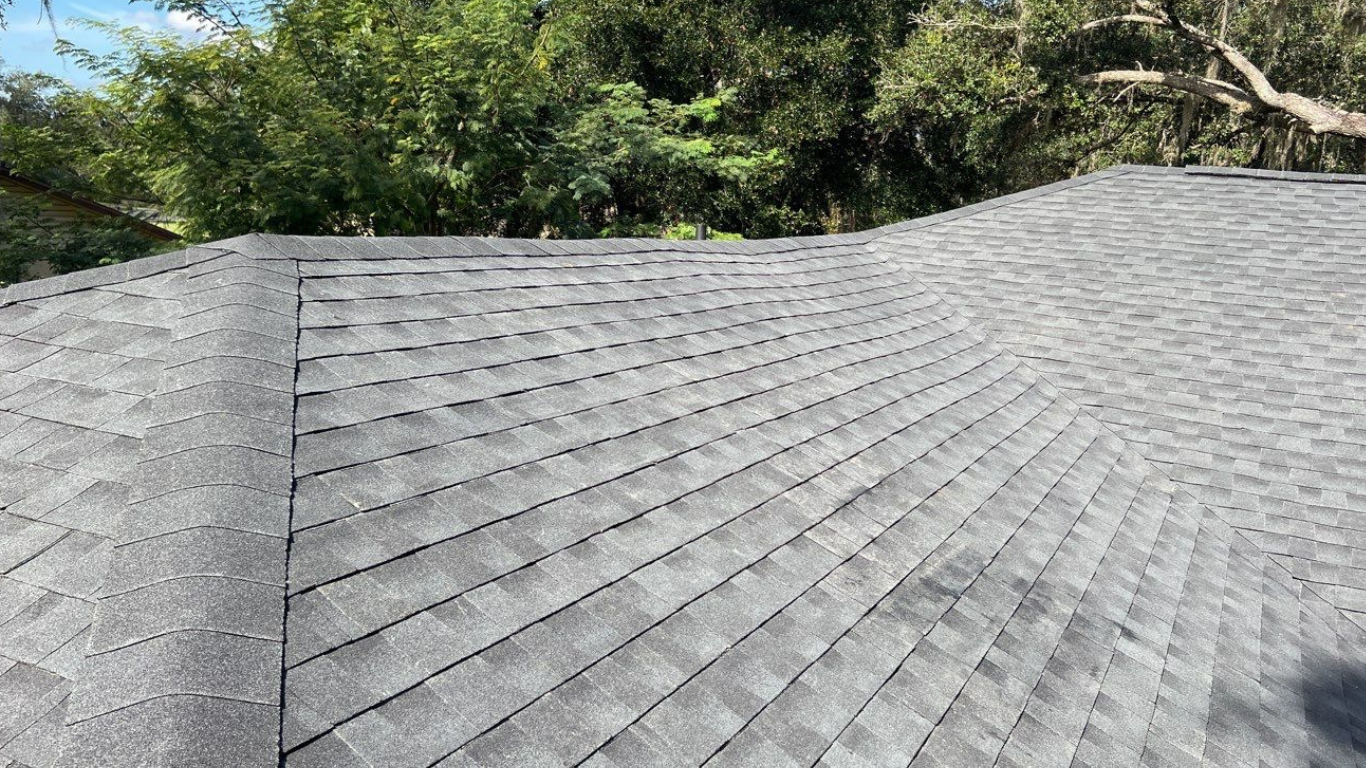 Our Shingles Options